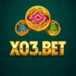 X03 Bet Game