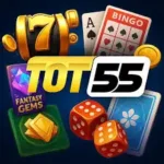 TOT 55 Game