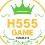 H555 Game
