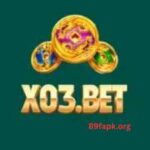X03 Bet Game