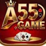 A55 Game