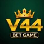 V44 Game