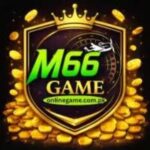 M66 Game